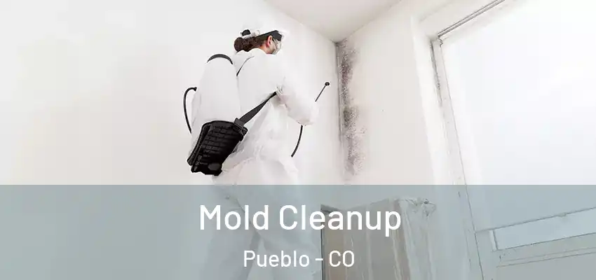 Mold Cleanup Pueblo - CO