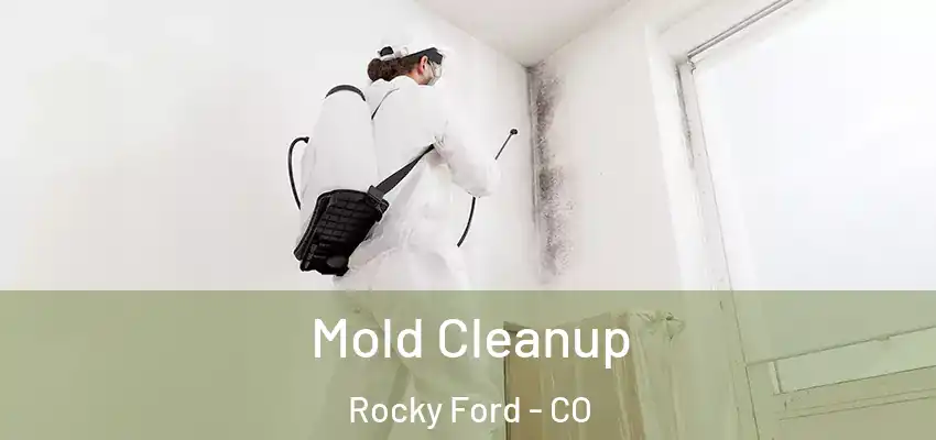 Mold Cleanup Rocky Ford - CO
