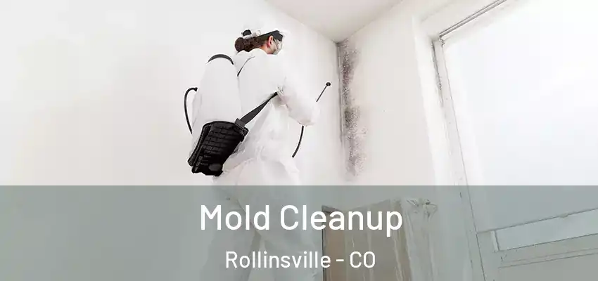  Mold Cleanup Rollinsville - CO