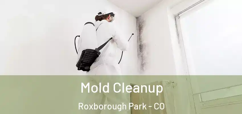 Mold Cleanup Roxborough Park - CO