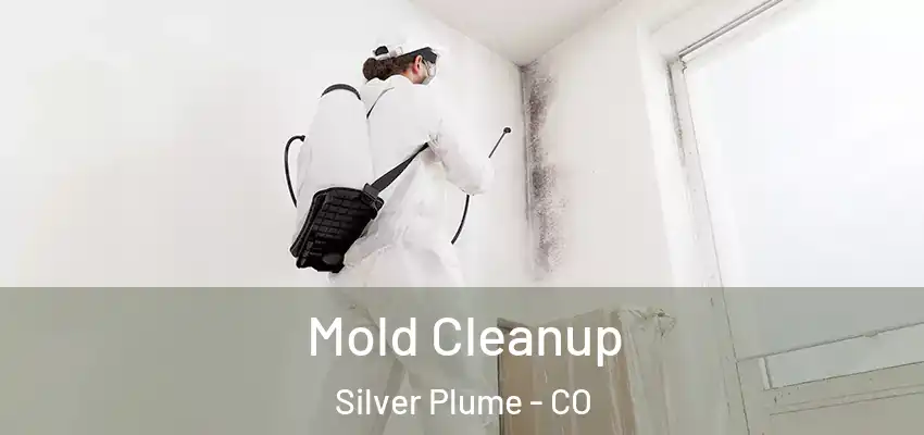  Mold Cleanup Silver Plume - CO