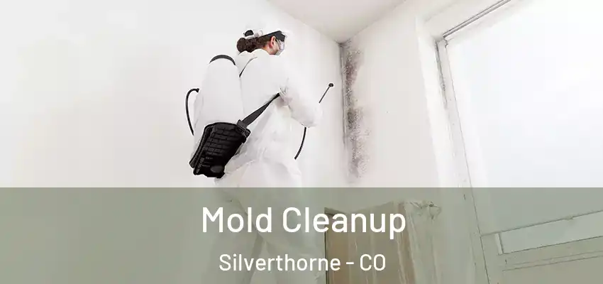  Mold Cleanup Silverthorne - CO