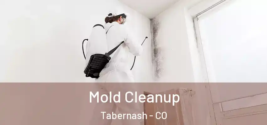 Mold Cleanup Tabernash - CO