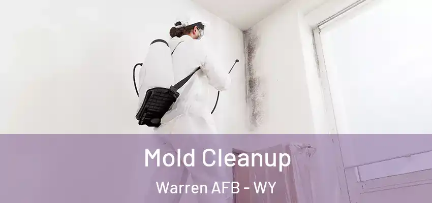 Mold Cleanup Warren AFB - WY