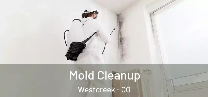  Mold Cleanup Westcreek - CO