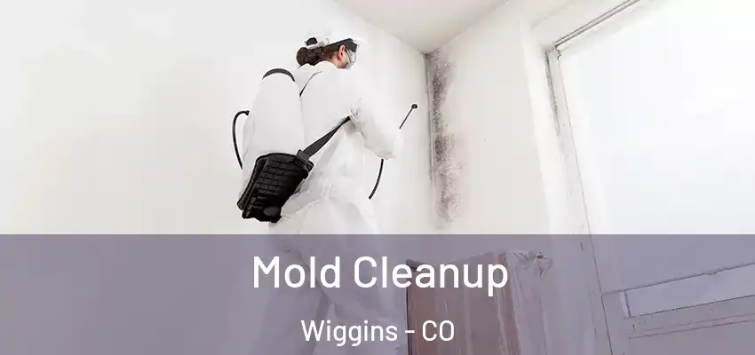 Mold Cleanup Wiggins - CO
