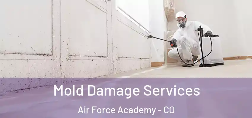  Mold Damage Services Air Force Academy - CO