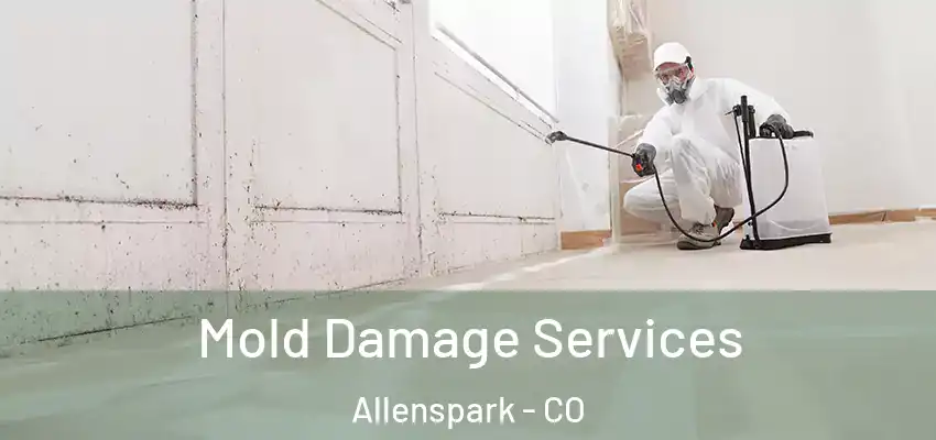  Mold Damage Services Allenspark - CO