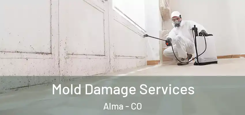 Mold Damage Services Alma - CO