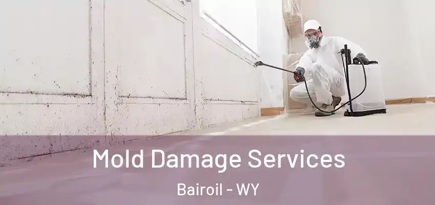  Mold Damage Services Bairoil - WY