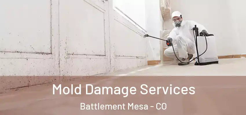  Mold Damage Services Battlement Mesa - CO
