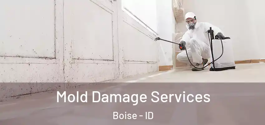  Mold Damage Services Boise - ID