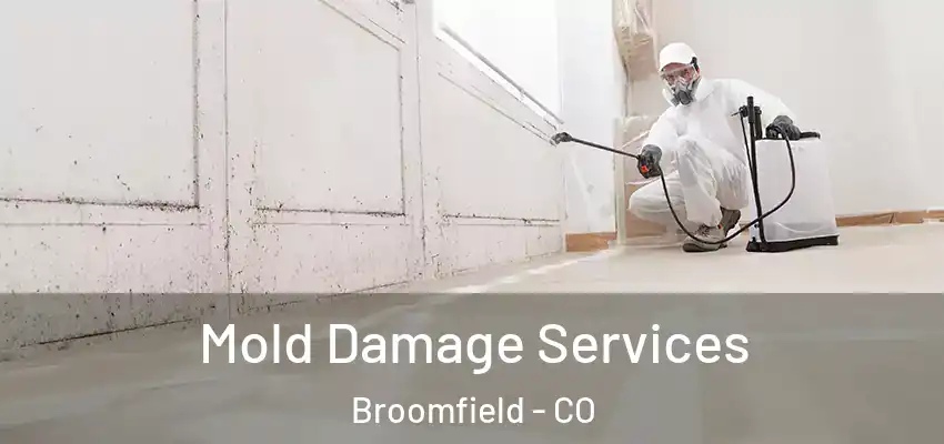  Mold Damage Services Broomfield - CO