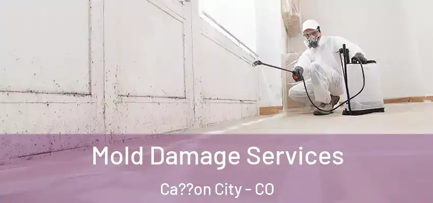  Mold Damage Services Ca??on City - CO