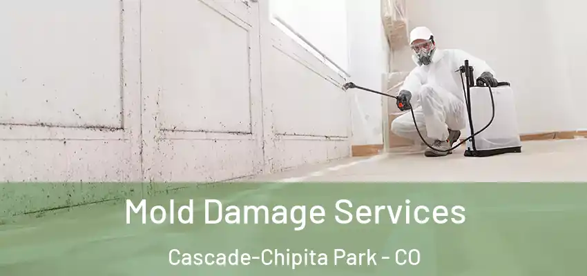  Mold Damage Services Cascade-Chipita Park - CO