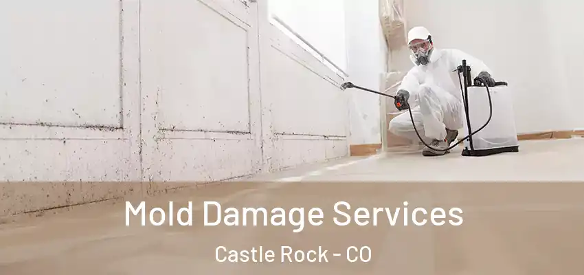  Mold Damage Services Castle Rock - CO