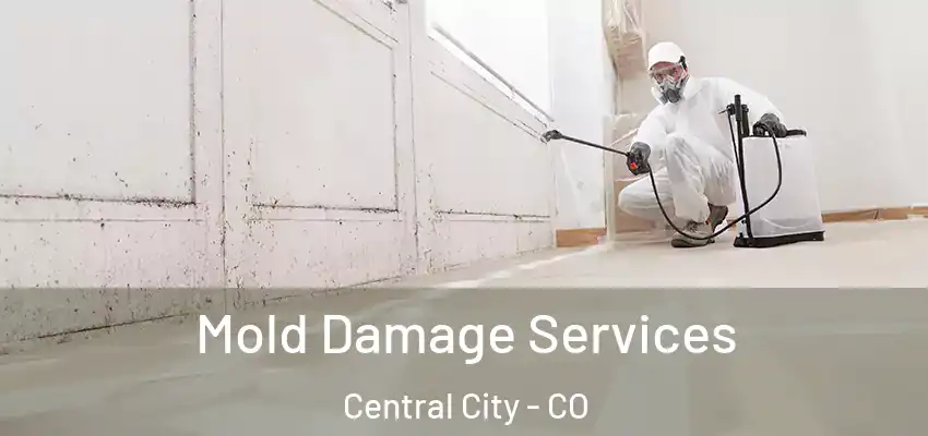  Mold Damage Services Central City - CO