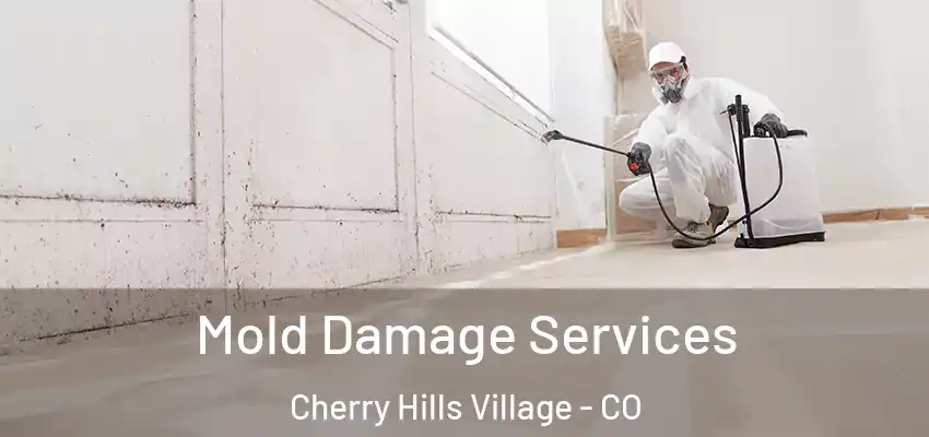  Mold Damage Services Cherry Hills Village - CO