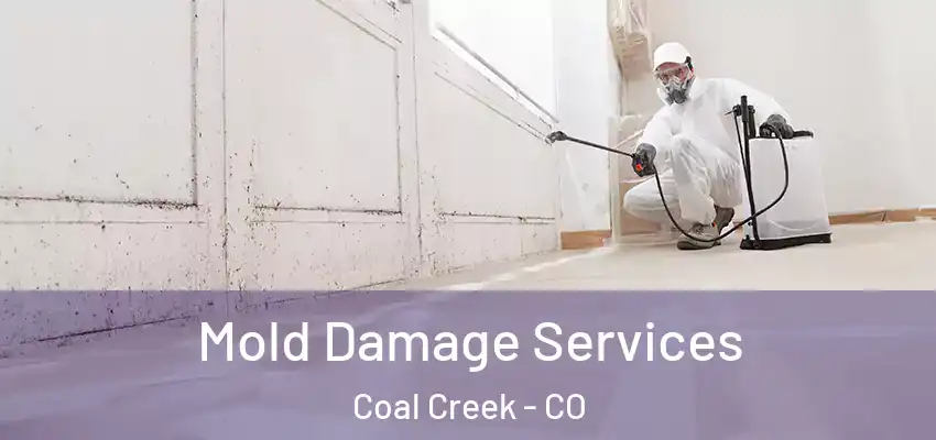 Mold Damage Services Coal Creek - CO