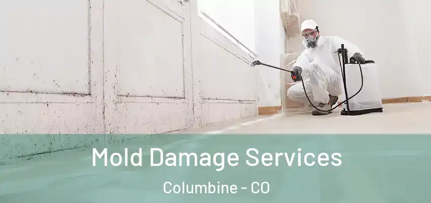  Mold Damage Services Columbine - CO