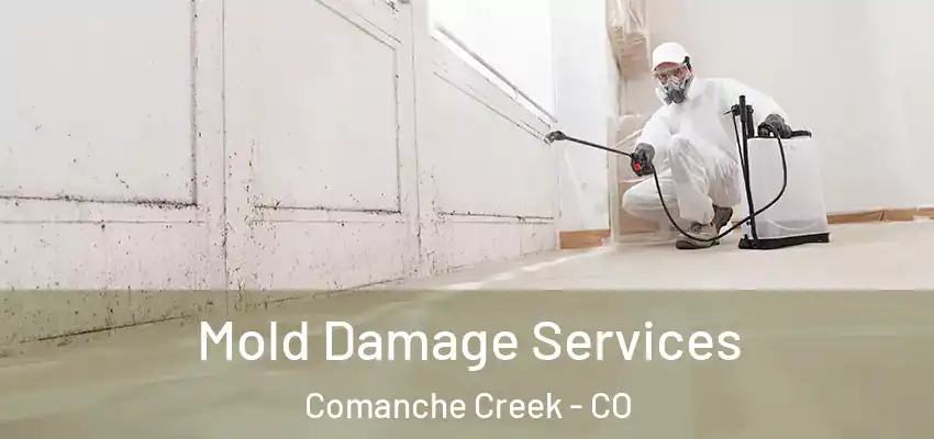  Mold Damage Services Comanche Creek - CO