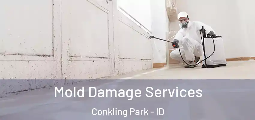  Mold Damage Services Conkling Park - ID