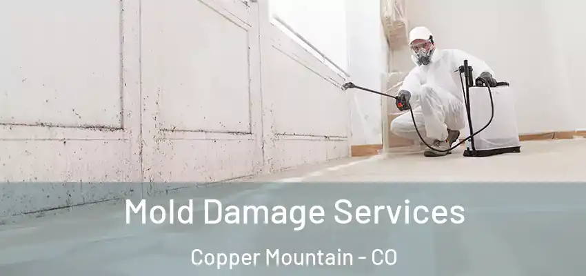  Mold Damage Services Copper Mountain - CO