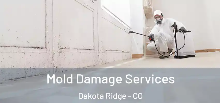  Mold Damage Services Dakota Ridge - CO