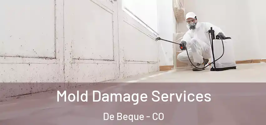  Mold Damage Services De Beque - CO
