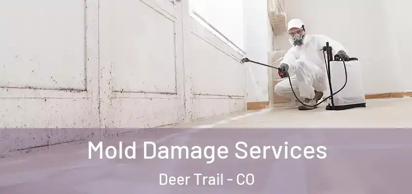  Mold Damage Services Deer Trail - CO