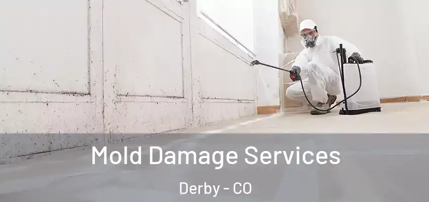  Mold Damage Services Derby - CO