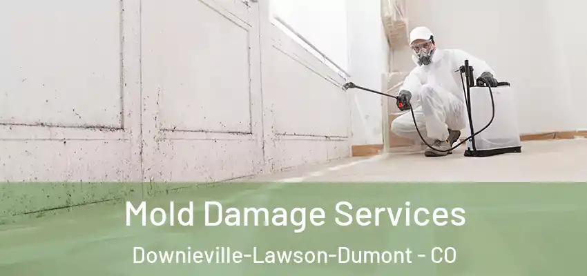  Mold Damage Services Downieville-Lawson-Dumont - CO