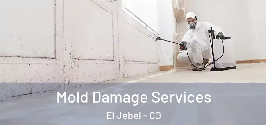 Mold Damage Services El Jebel - CO
