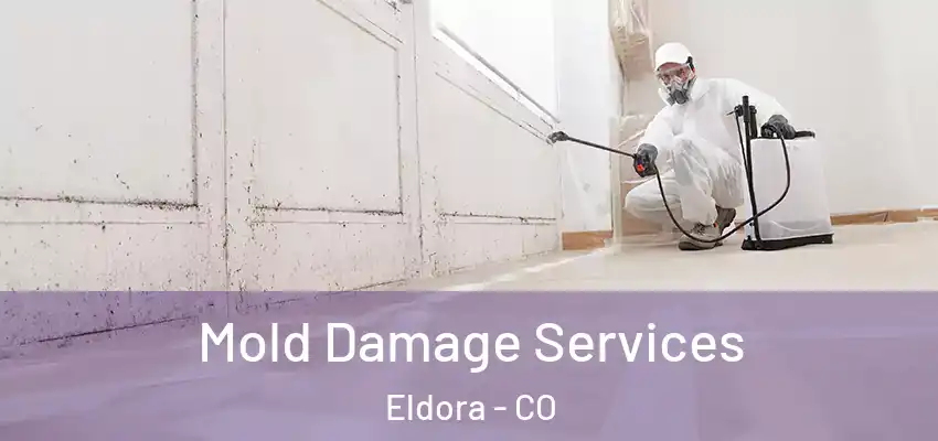  Mold Damage Services Eldora - CO