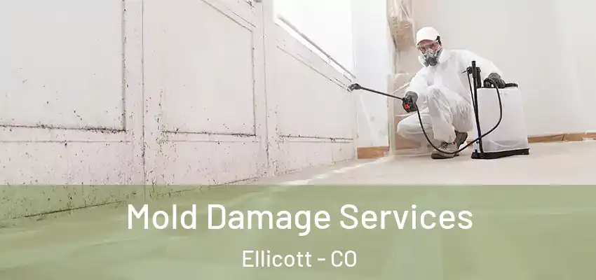  Mold Damage Services Ellicott - CO