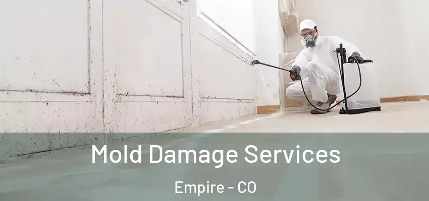 Mold Damage Services Empire - CO