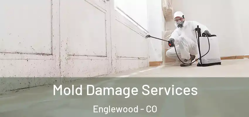  Mold Damage Services Englewood - CO