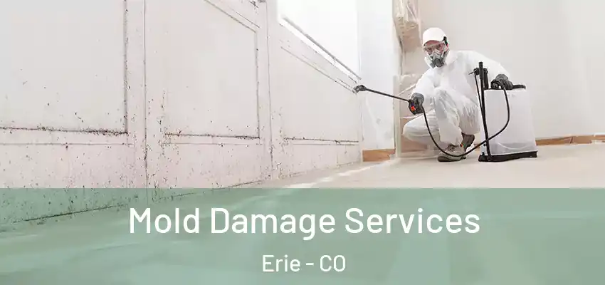  Mold Damage Services Erie - CO