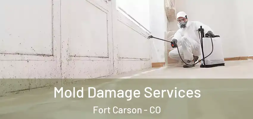  Mold Damage Services Fort Carson - CO