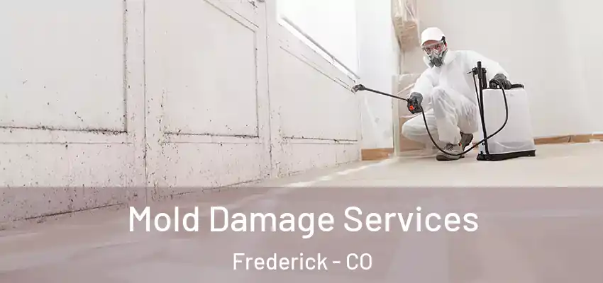  Mold Damage Services Frederick - CO