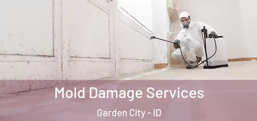 Mold Damage Services Garden City - ID