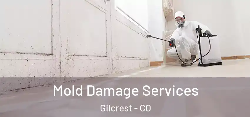 Mold Damage Services Gilcrest - CO