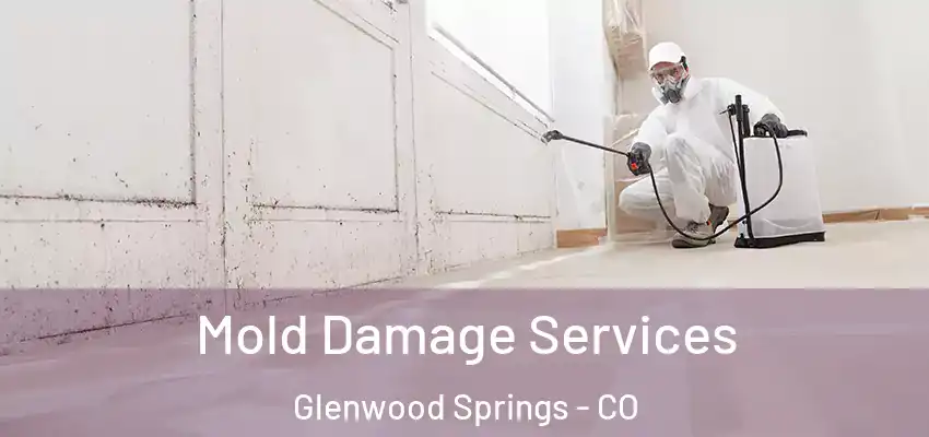 Mold Damage Services Glenwood Springs - CO