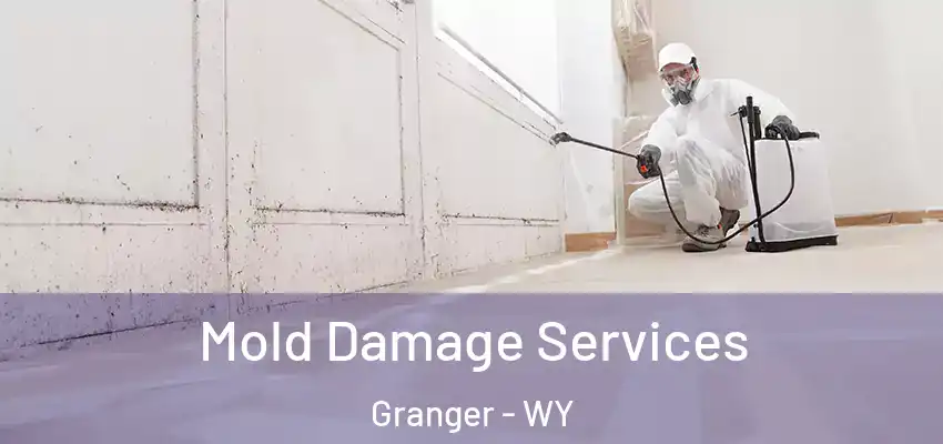  Mold Damage Services Granger - WY