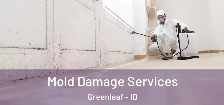  Mold Damage Services Greenleaf - ID