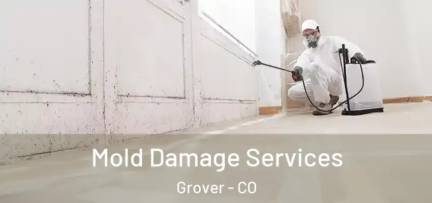 Mold Damage Services Grover - CO