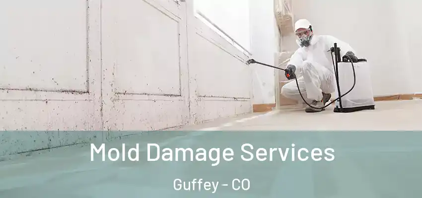  Mold Damage Services Guffey - CO