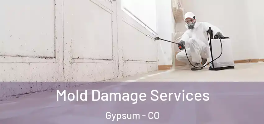 Mold Damage Services Gypsum - CO