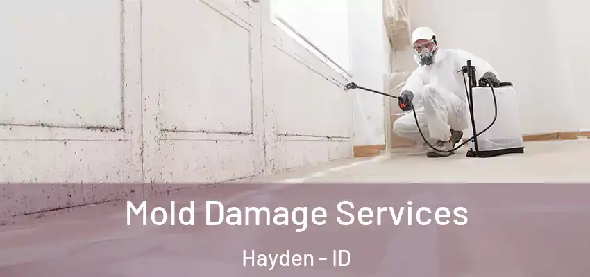 Mold Damage Services Hayden - ID
