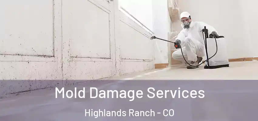  Mold Damage Services Highlands Ranch - CO